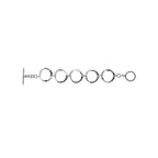 Eleganza Ladies Fashion Bracelet