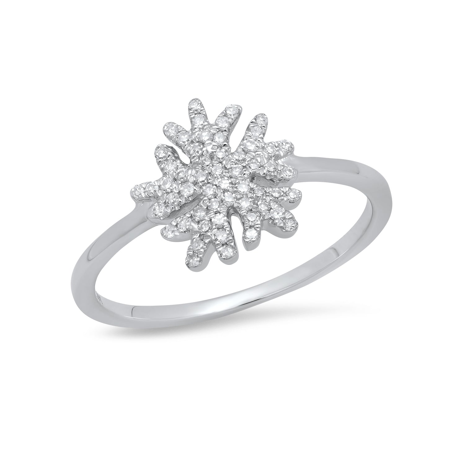 Diamond weight- .17