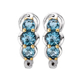 Eleganza Ladies Gemstone Earrings
